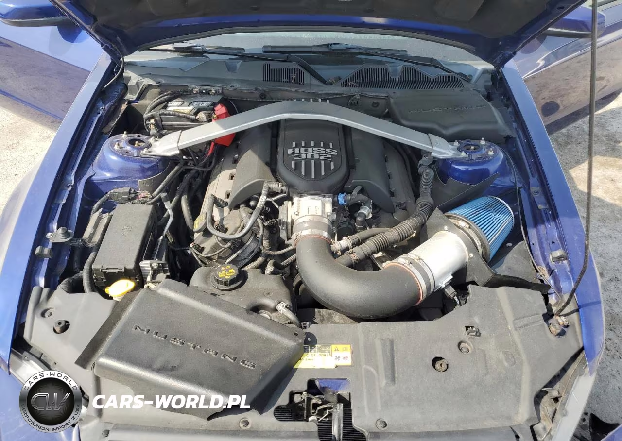 2014 Ford Mustang Gt VIN:1ZVBP8CF5E5205341 - 11