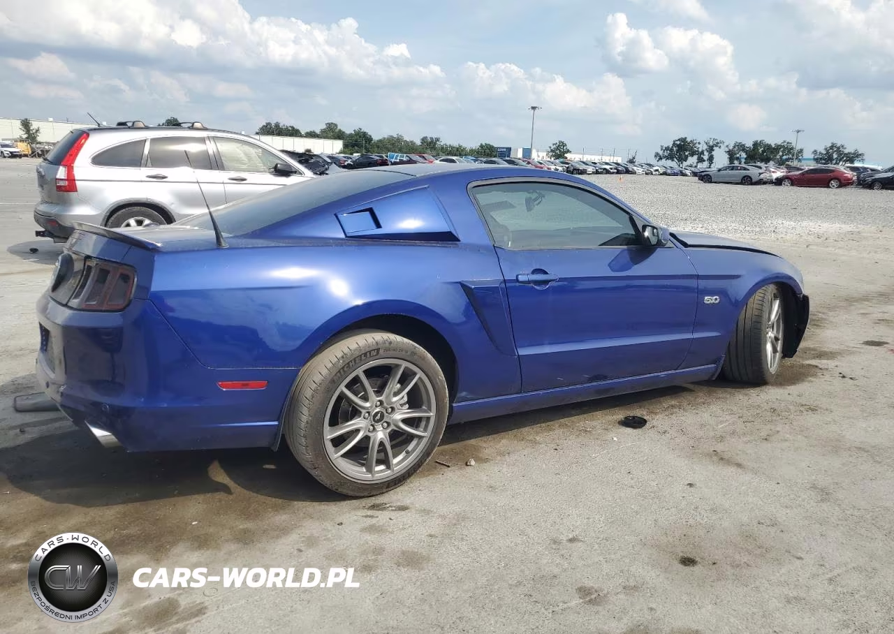 2014 Ford Mustang Gt VIN:1ZVBP8CF5E5205341 - 3