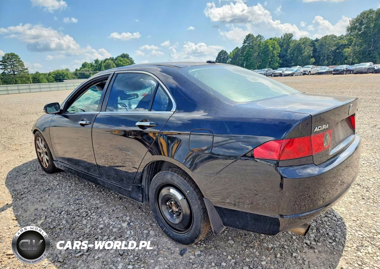 2008 Acura Tsx VIN:JH4CL96958C010062 - 2