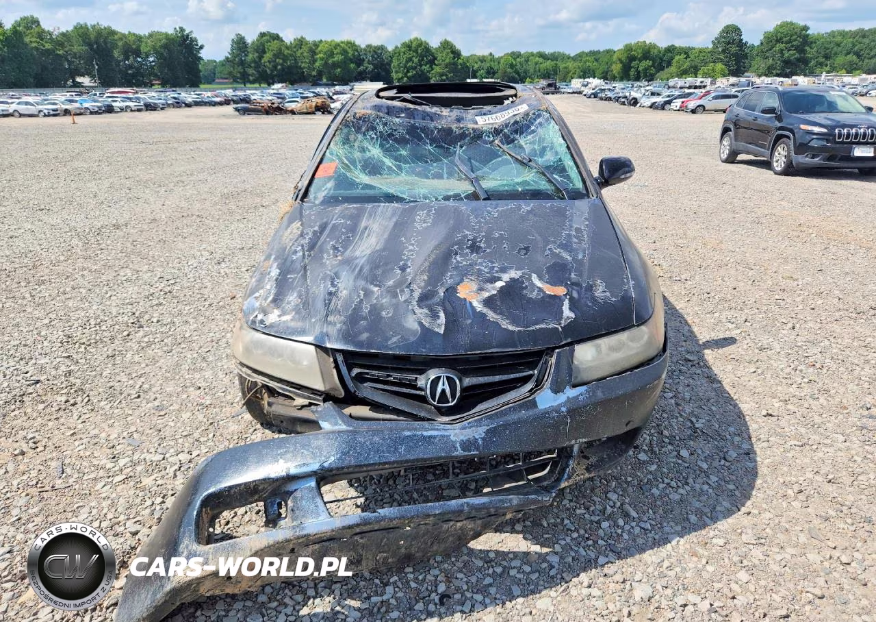 2008 Acura Tsx VIN:JH4CL96958C010062 - 5