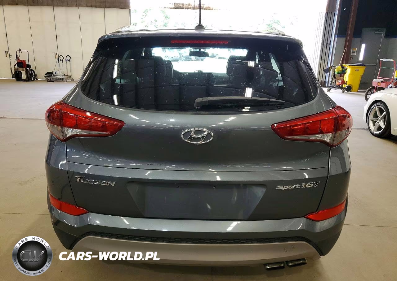 2017 Hyundai Tucson Sport VIN:KM8J3CA24HU457472 - 6