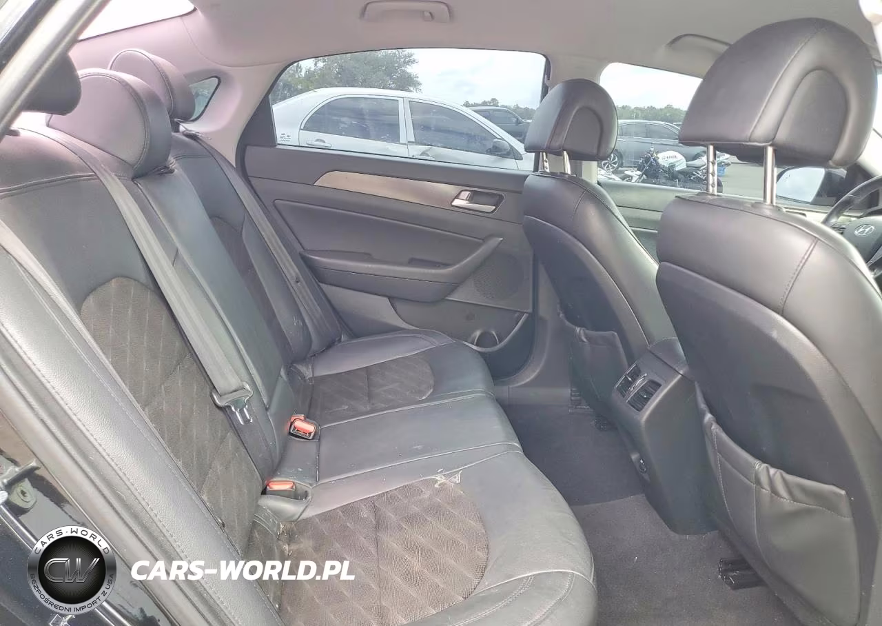 2016 Hyundai Sonata Sport VIN:5NPE34AF6GH423119 - 10