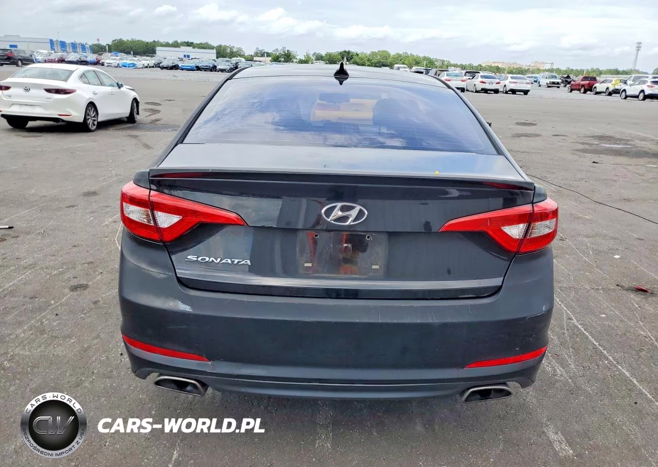 2016 Hyundai Sonata Sport VIN:5NPE34AF6GH423119 - 6