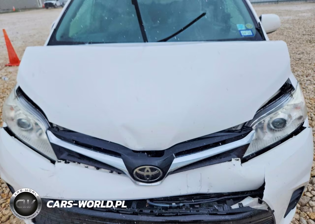 2019 Toyota Sienna Le VIN:5TDKZ3DC3KS010624 - 12