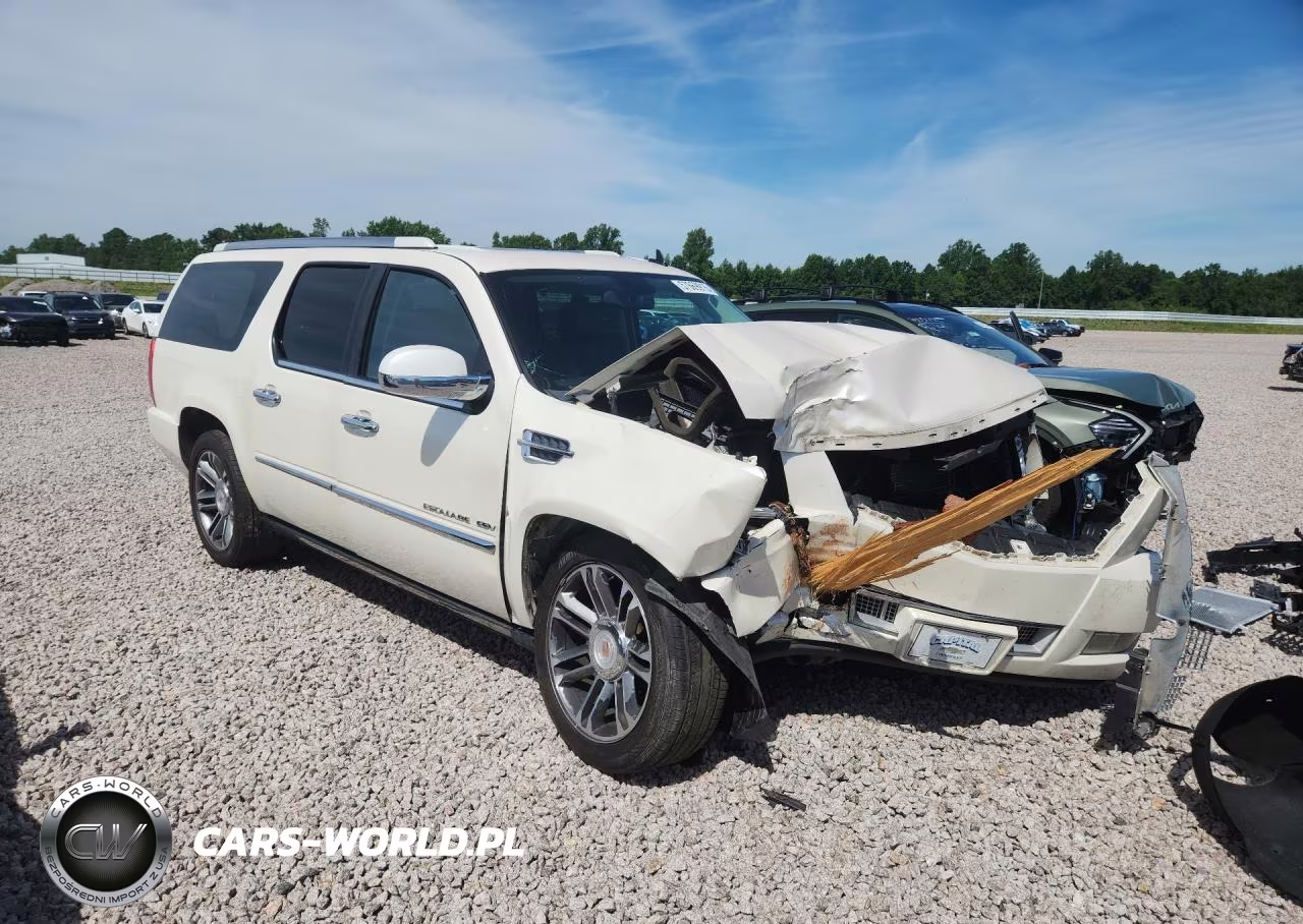 2013 Cadillac Escalade Esv Platinum VIN:1GYS4KEF4DR100622 - 4