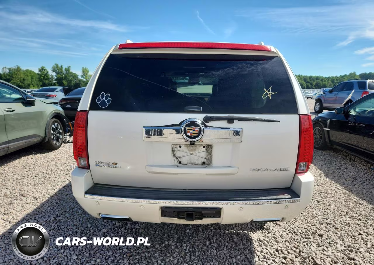 2013 Cadillac Escalade Esv Platinum VIN:1GYS4KEF4DR100622 - 6