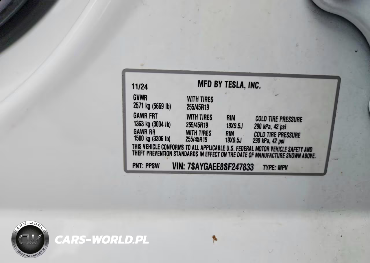 2025 Tesla Model Y VIN:7SAYGAEE8SF247833 - 12