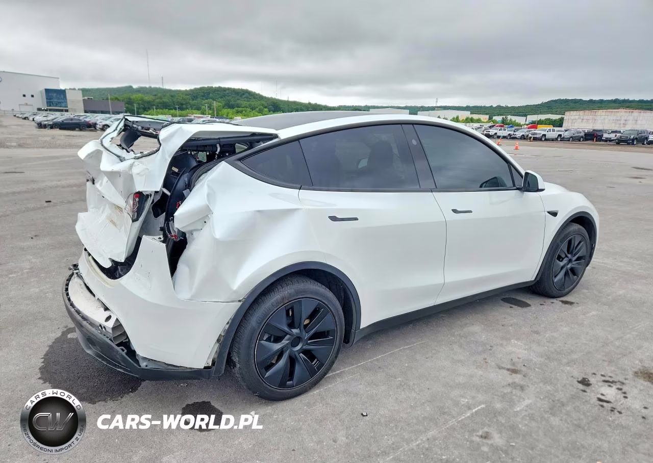 2025 Tesla Model Y VIN:7SAYGAEE8SF247833 - 3