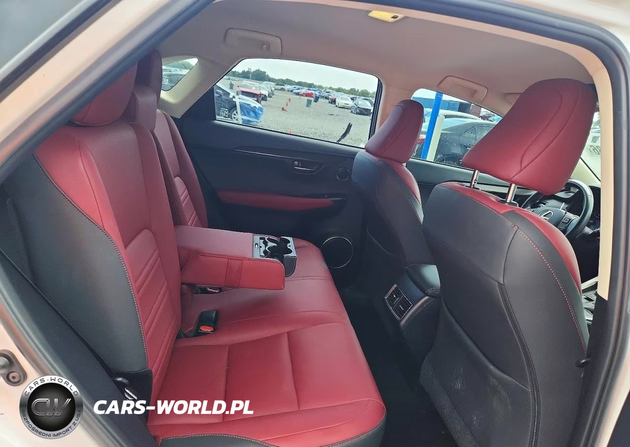 2020 Lexus Nx 300 Base VIN:JTJAARBZ6L5018461 - 10