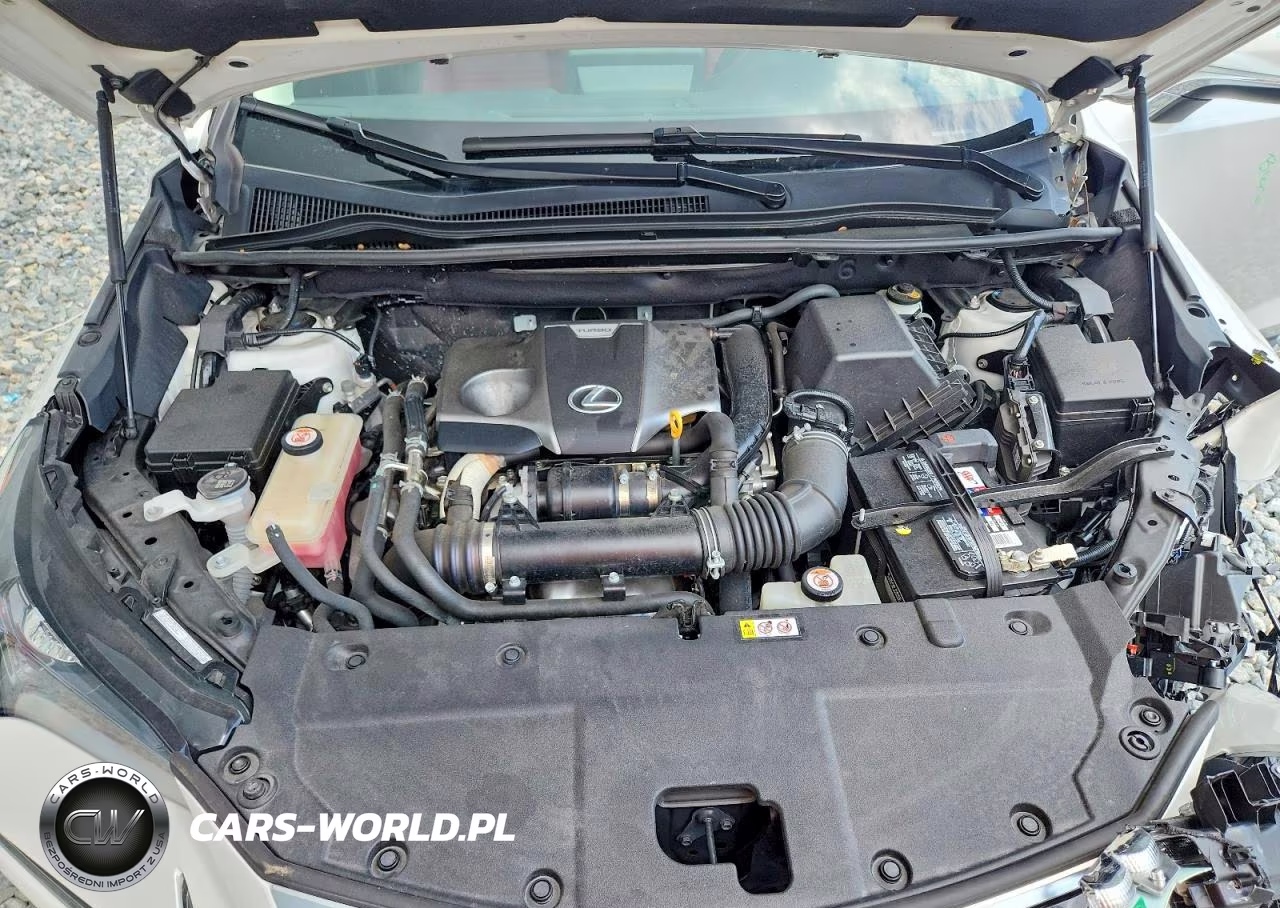 2020 Lexus Nx 300 Base VIN:JTJAARBZ6L5018461 - 11