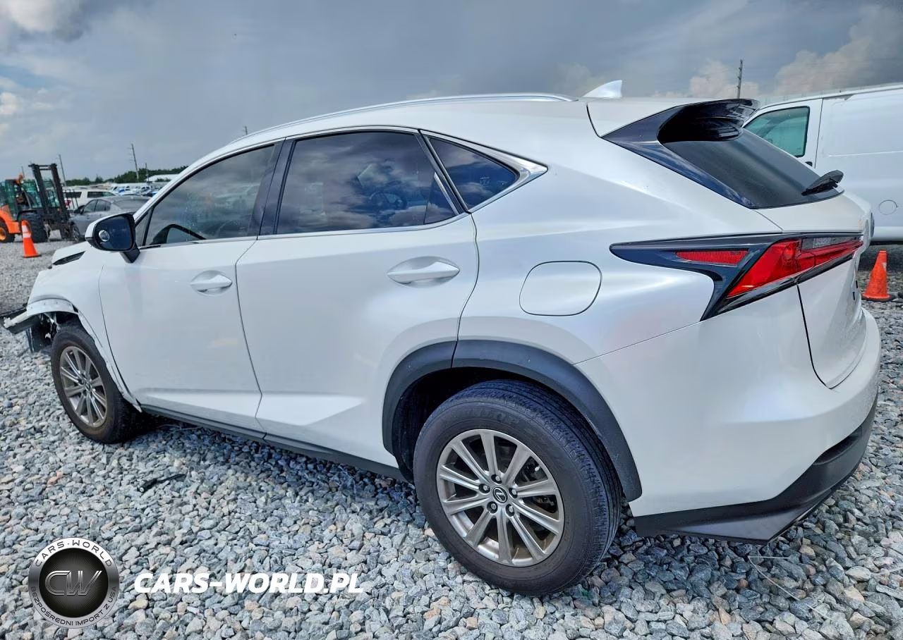 2020 Lexus Nx 300 Base VIN:JTJAARBZ6L5018461 - 2