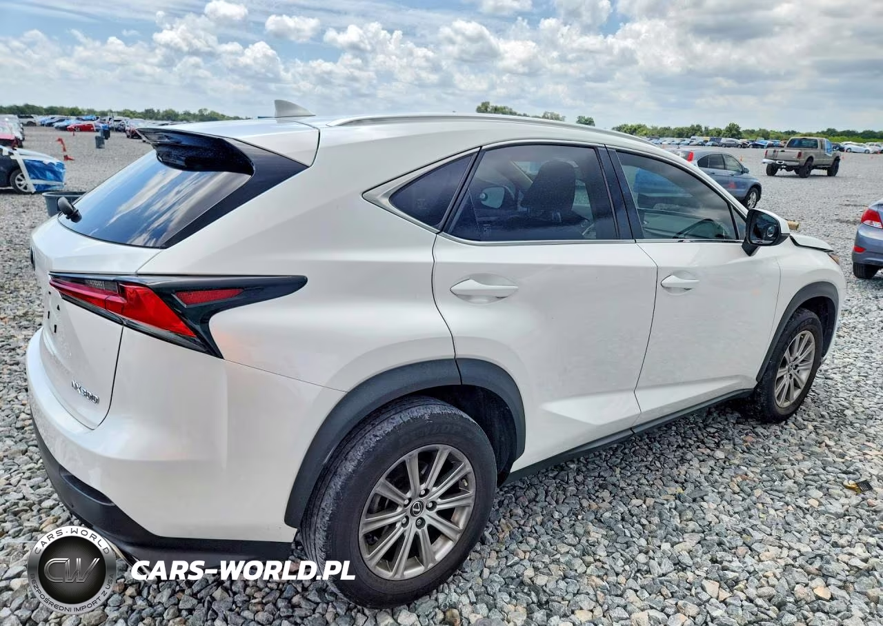 2020 Lexus Nx 300 Base VIN:JTJAARBZ6L5018461 - 3