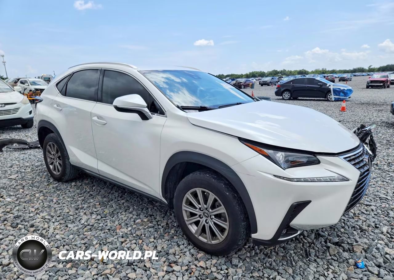 2020 Lexus Nx 300 Base VIN:JTJAARBZ6L5018461 - 4