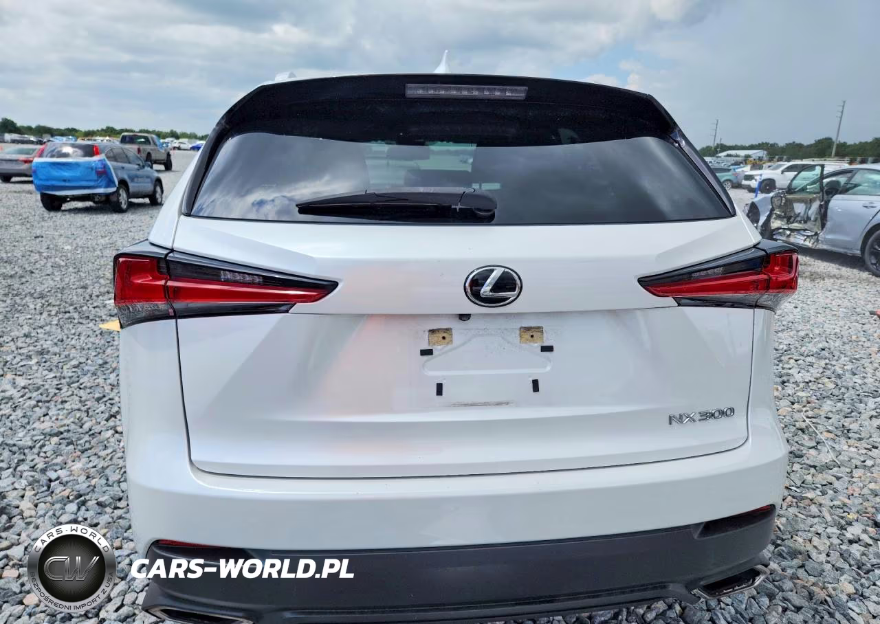 2020 Lexus Nx 300 Base VIN:JTJAARBZ6L5018461 - 6