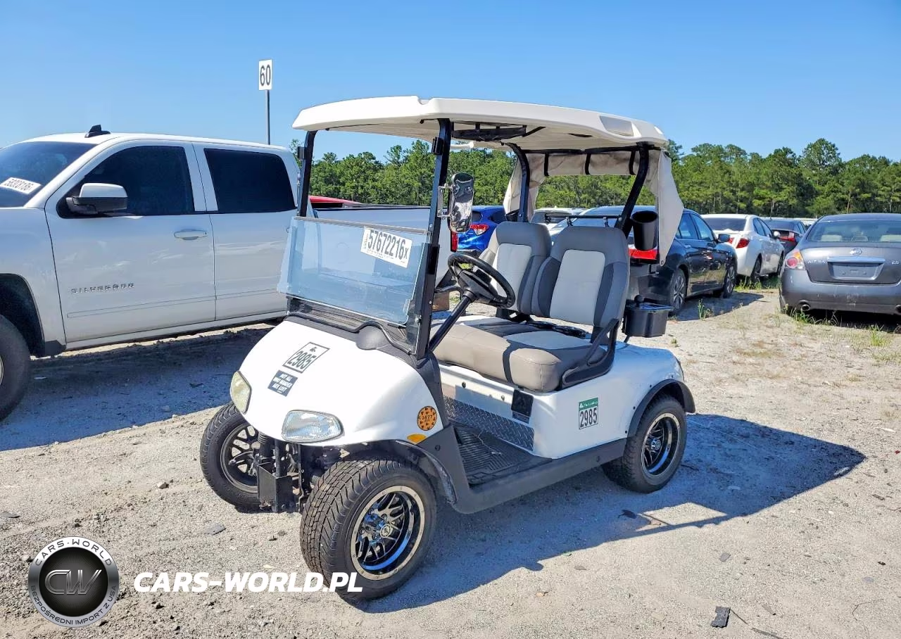 2019 Golf Cart VIN:5498254 - 2