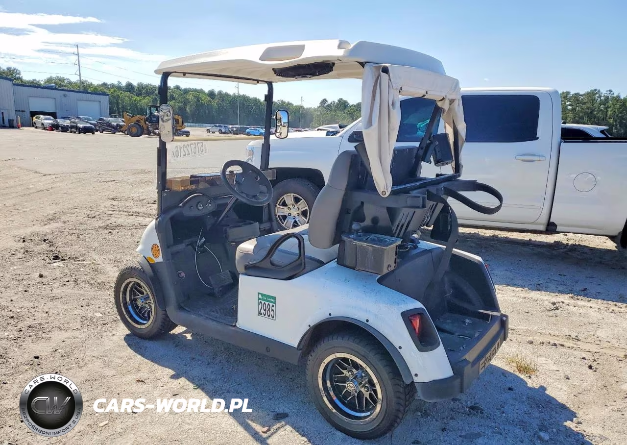 2019 Golf Cart VIN:5498254 - 3