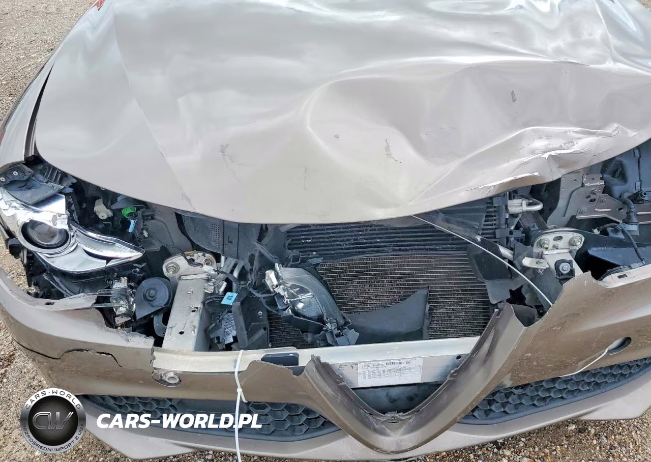 2019 Alfa Romeo Giulia VIN:ZARFAMAN1K7600891 - 11