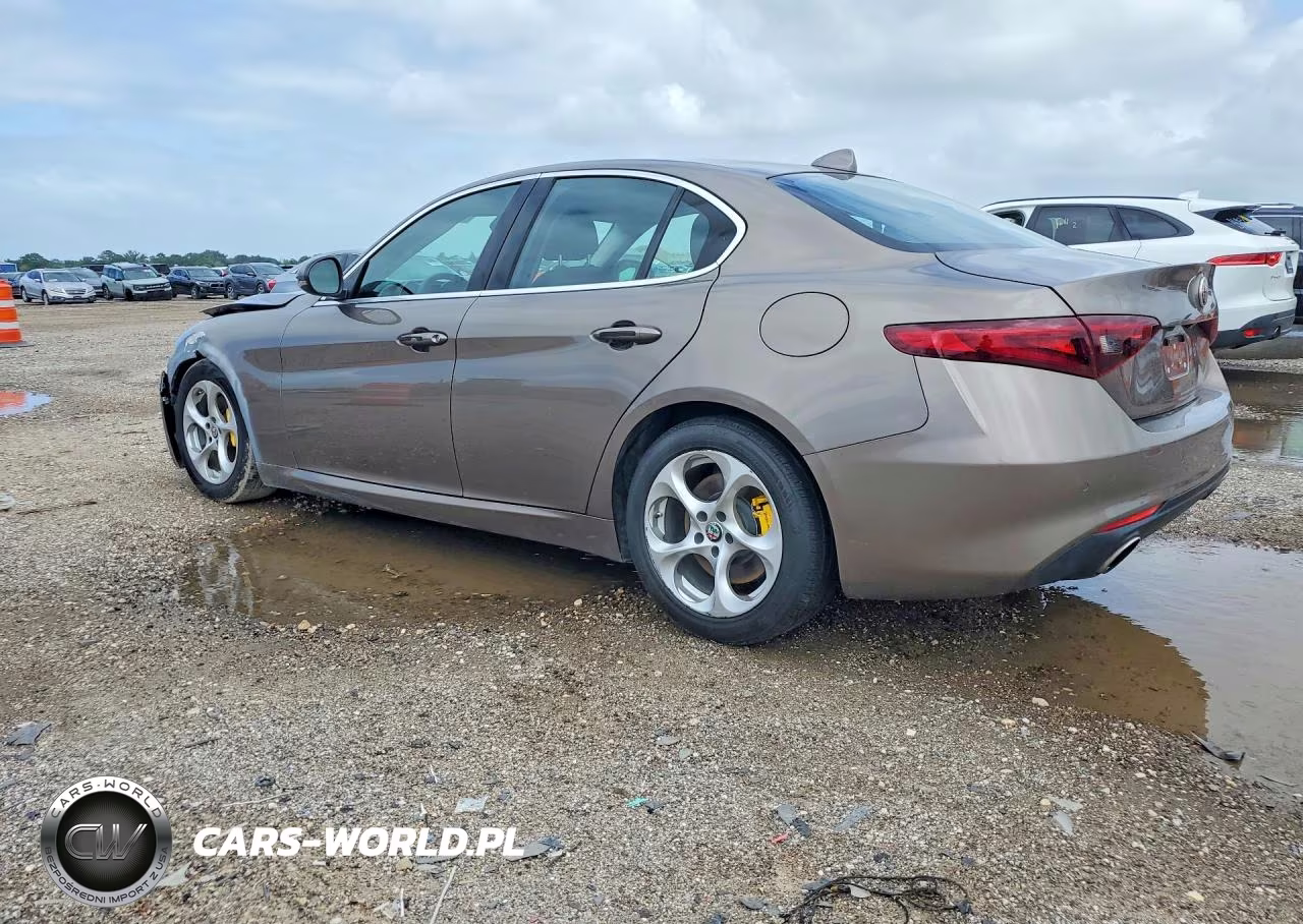 2019 Alfa Romeo Giulia VIN:ZARFAMAN1K7600891 - 2