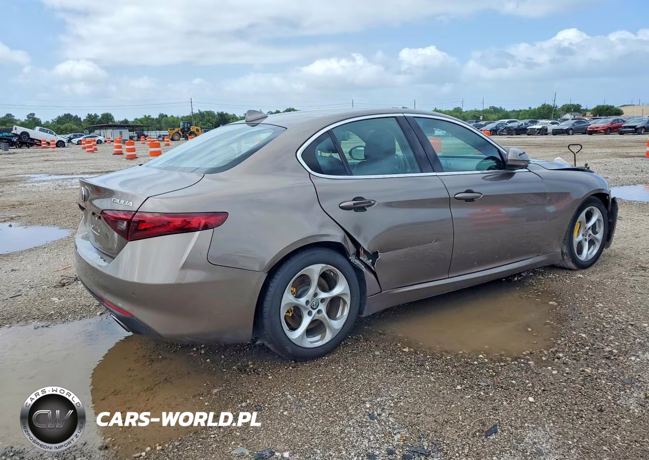 2019 Alfa Romeo Giulia VIN:ZARFAMAN1K7600891 - 3