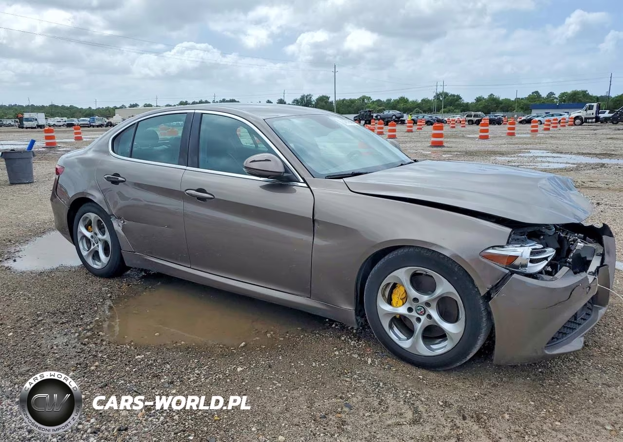 2019 Alfa Romeo Giulia VIN:ZARFAMAN1K7600891 - 4