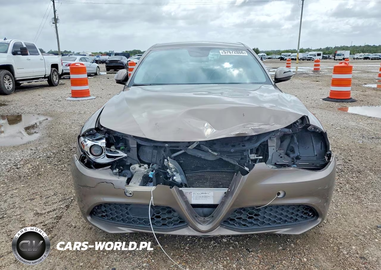 2019 Alfa Romeo Giulia VIN:ZARFAMAN1K7600891 - 5