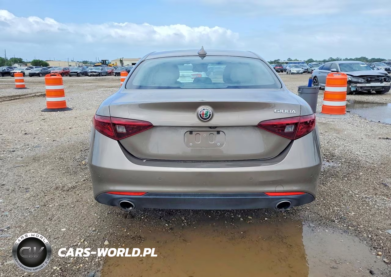 2019 Alfa Romeo Giulia VIN:ZARFAMAN1K7600891 - 6