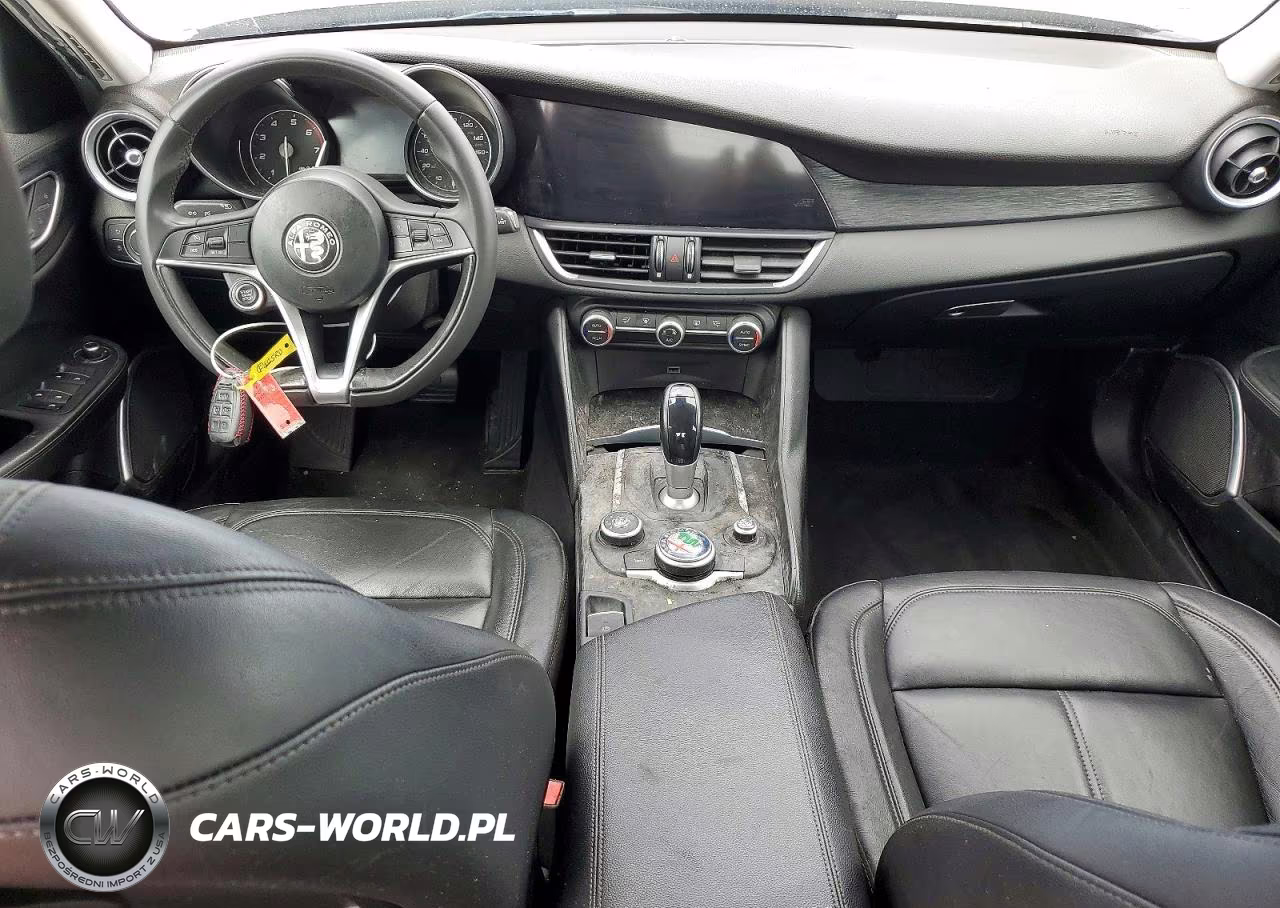 2019 Alfa Romeo Giulia VIN:ZARFAMAN1K7600891 - 8