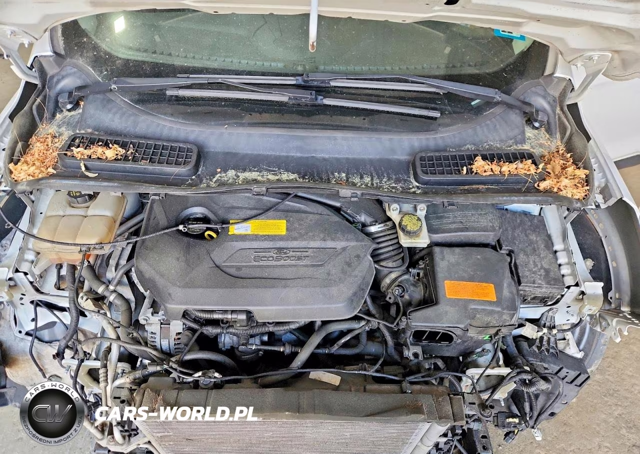 2015 Ford Escape Se VIN:1FMCU9GX4FUB99785 - 12