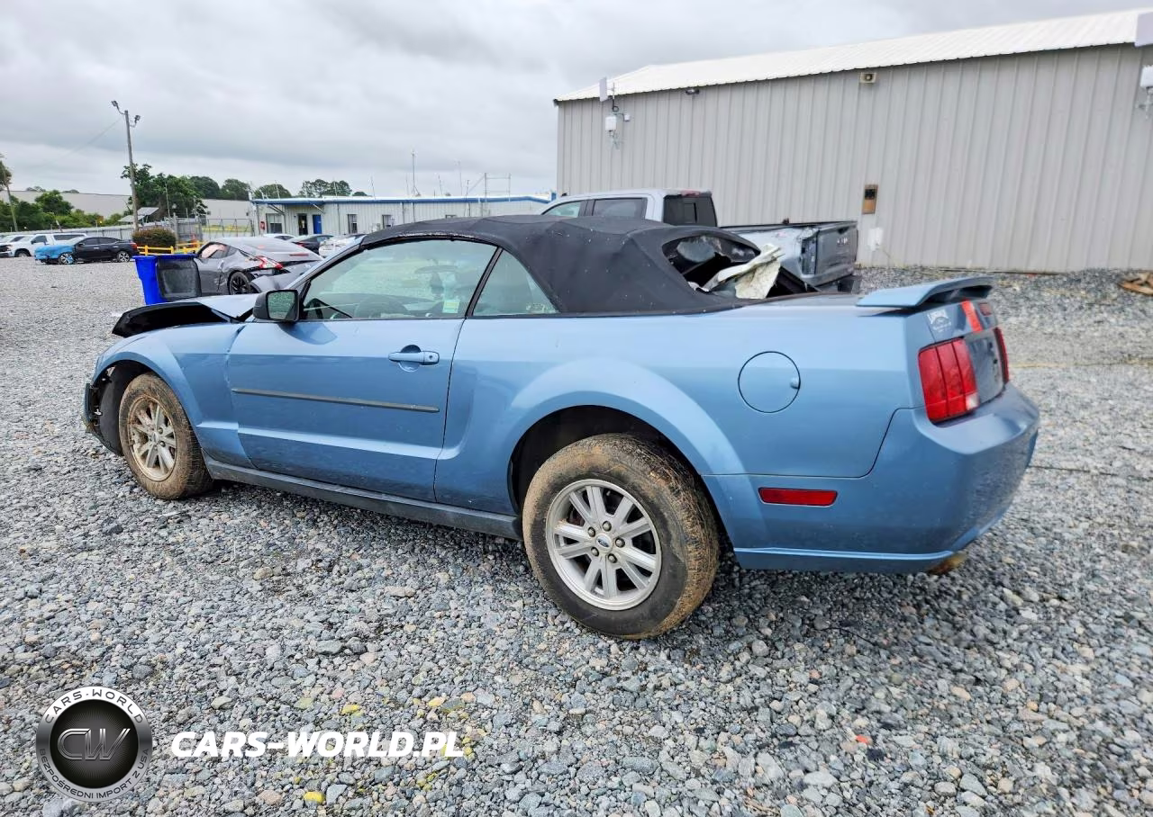 2006 Ford Mustang VIN:1ZVFT84N665226591 - 2