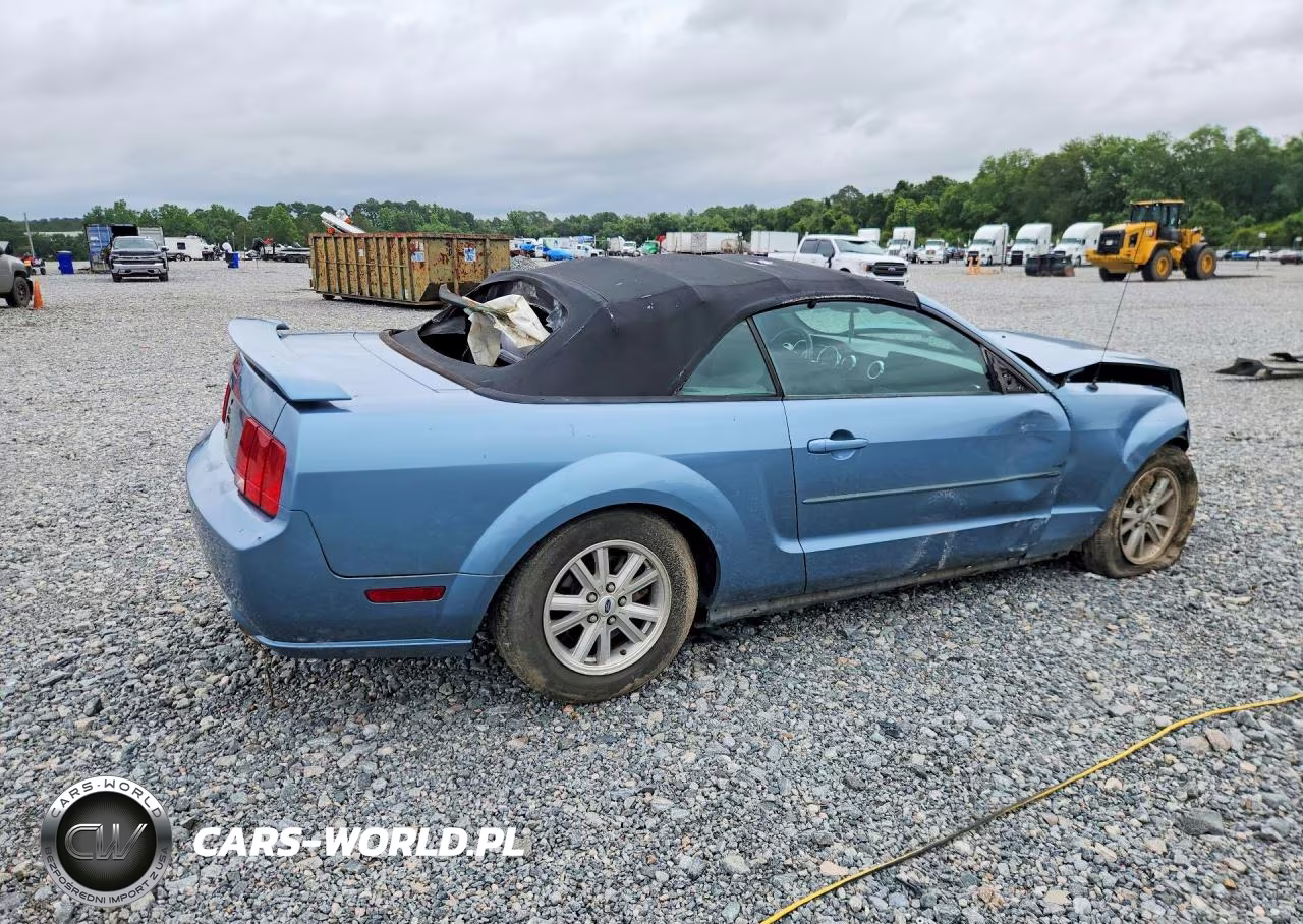 2006 Ford Mustang VIN:1ZVFT84N665226591 - 3