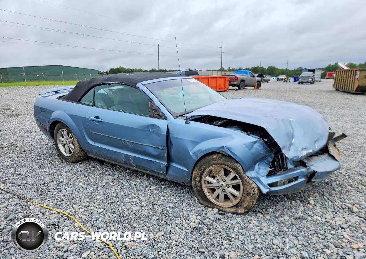 2006 Ford Mustang VIN:1ZVFT84N665226591 - 4