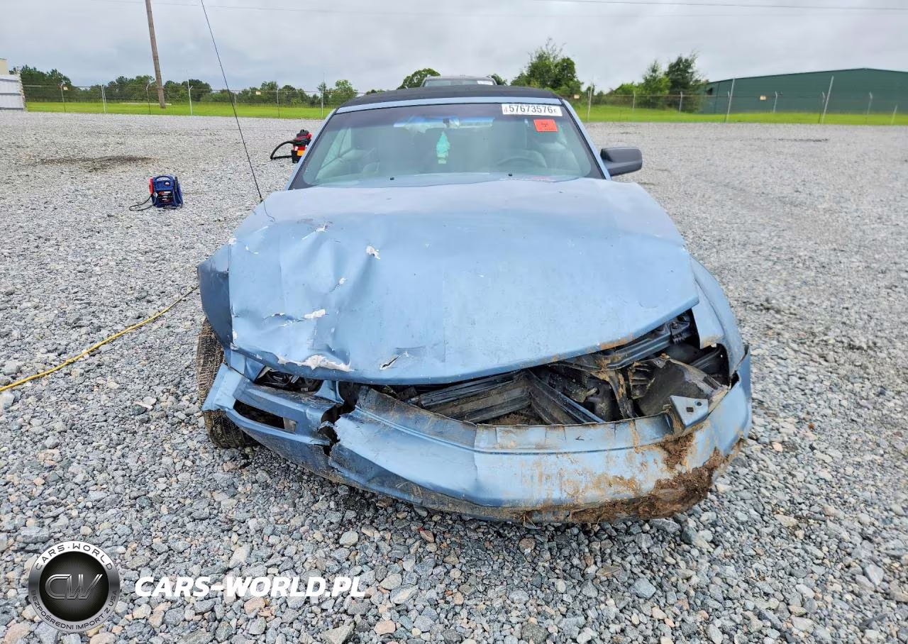 2006 Ford Mustang VIN:1ZVFT84N665226591 - 5