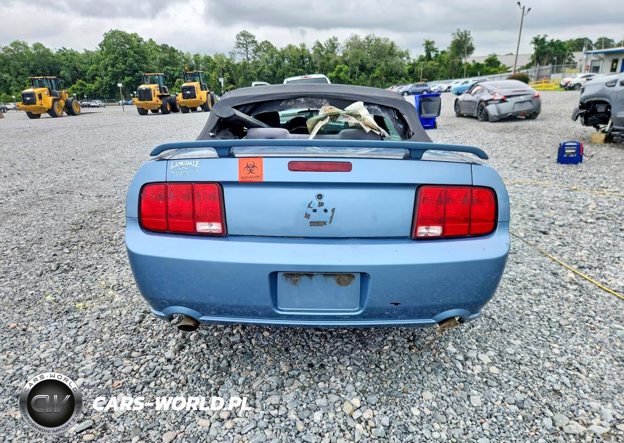 2006 Ford Mustang VIN:1ZVFT84N665226591 - 6