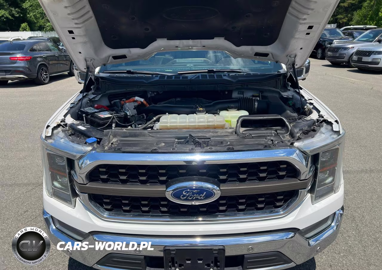 2021 Ford F150 Supercrew VIN:1FTFW1ED8MFA99373 - 8