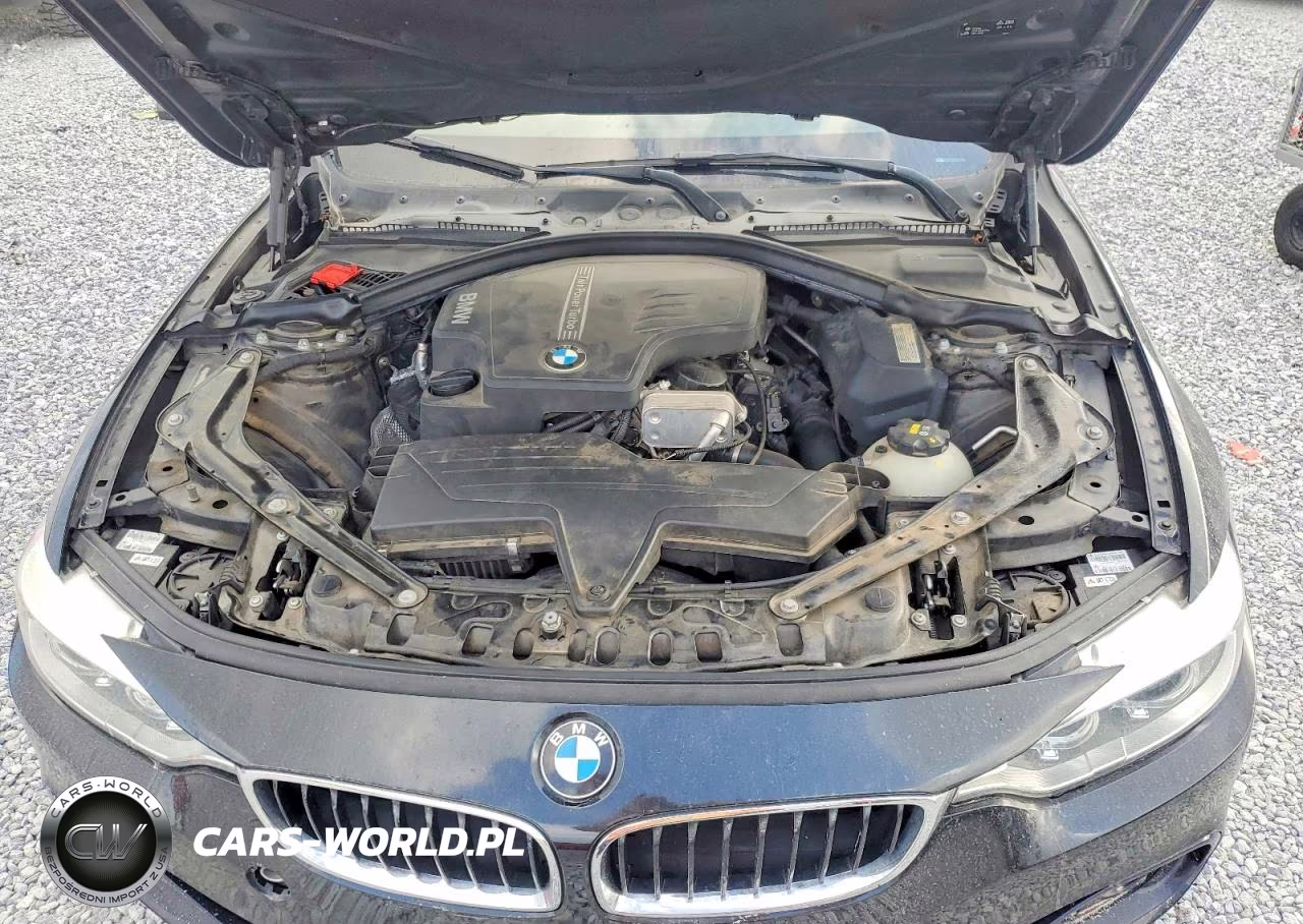2016 BMW 428 I Sulev VIN:WBA3V7C57G5A25070 - 11