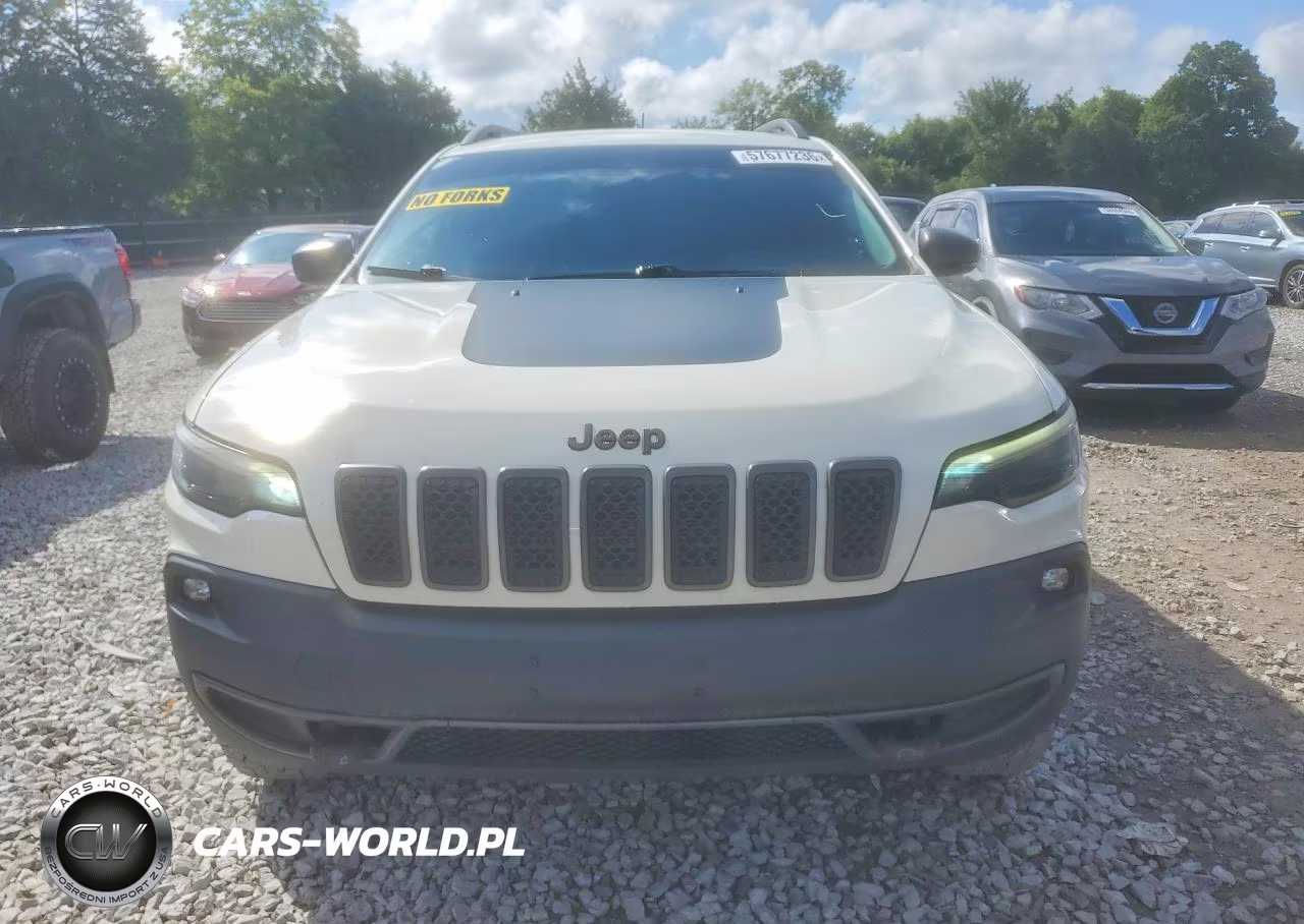 2019 Jeep Cherokee Trailhawk VIN:1C4PJMBX1KD343084 - 5