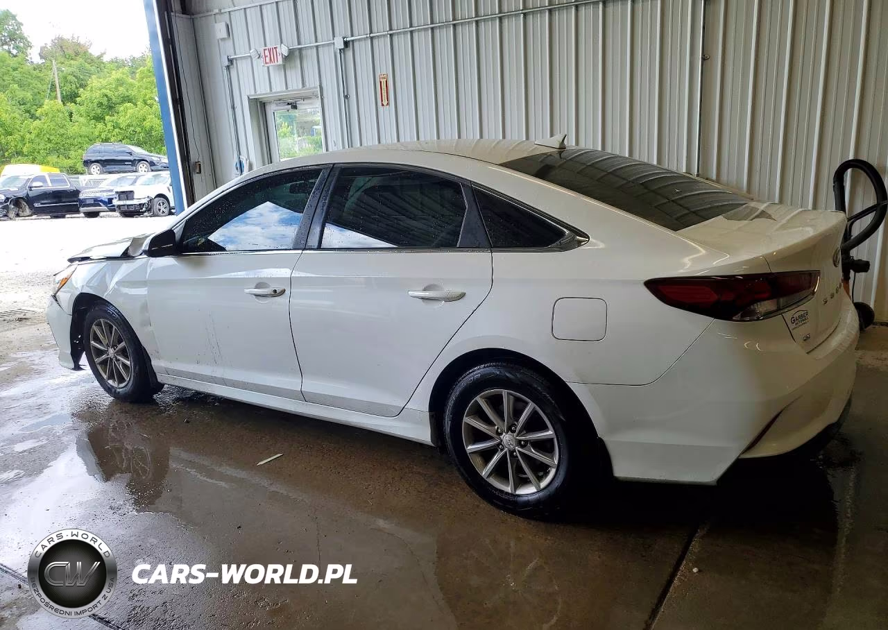 2019 Hyundai Sonata Se VIN:5NPE24AF9KH786221 - 2