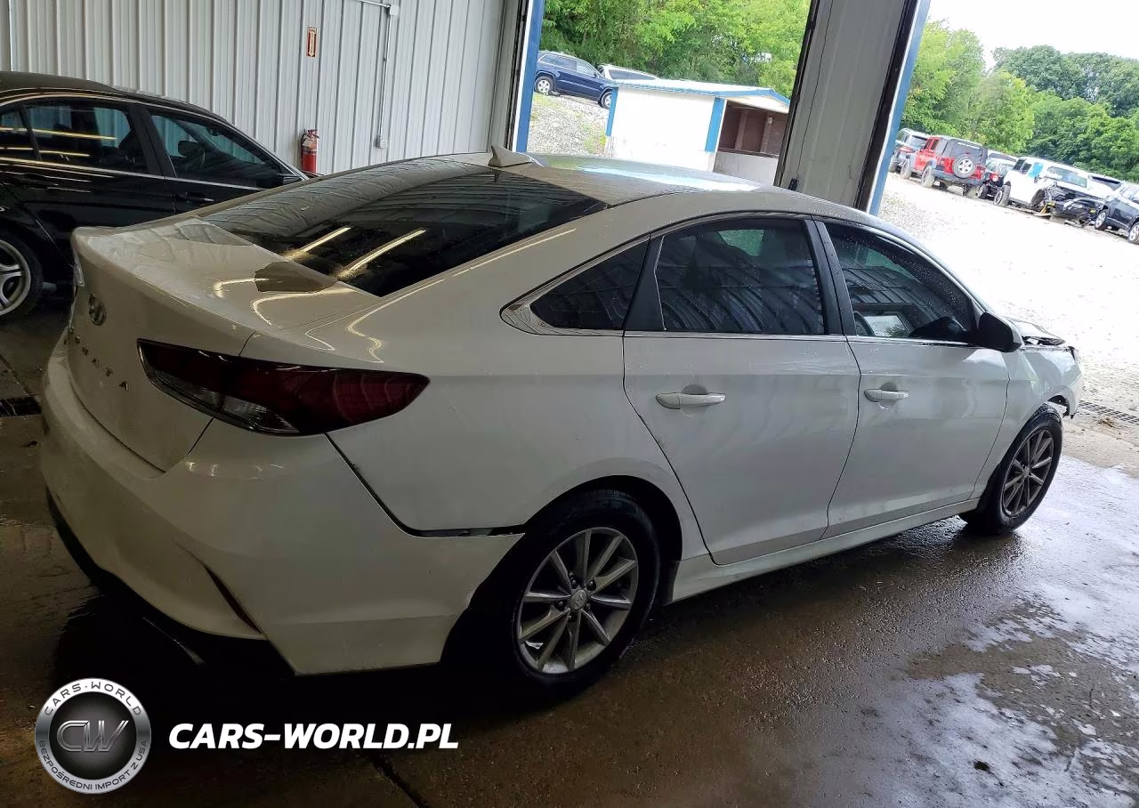 2019 Hyundai Sonata Se VIN:5NPE24AF9KH786221 - 3
