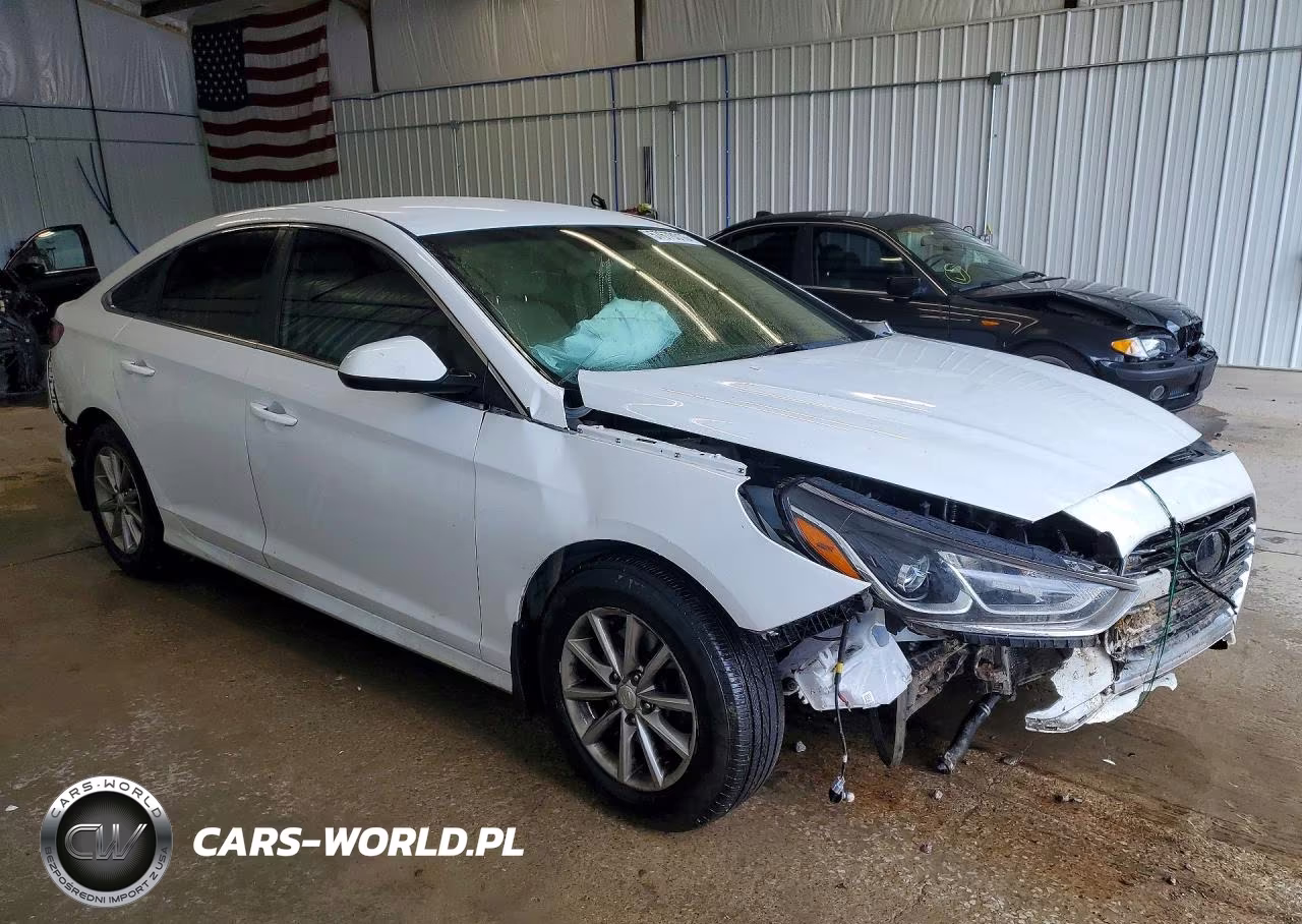 2019 Hyundai Sonata Se VIN:5NPE24AF9KH786221 - 4