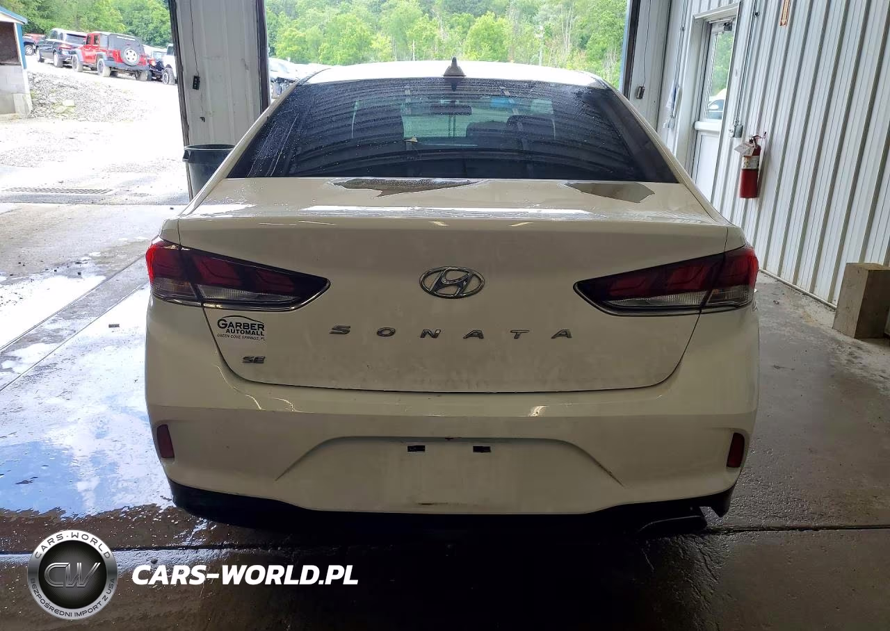 2019 Hyundai Sonata Se VIN:5NPE24AF9KH786221 - 6
