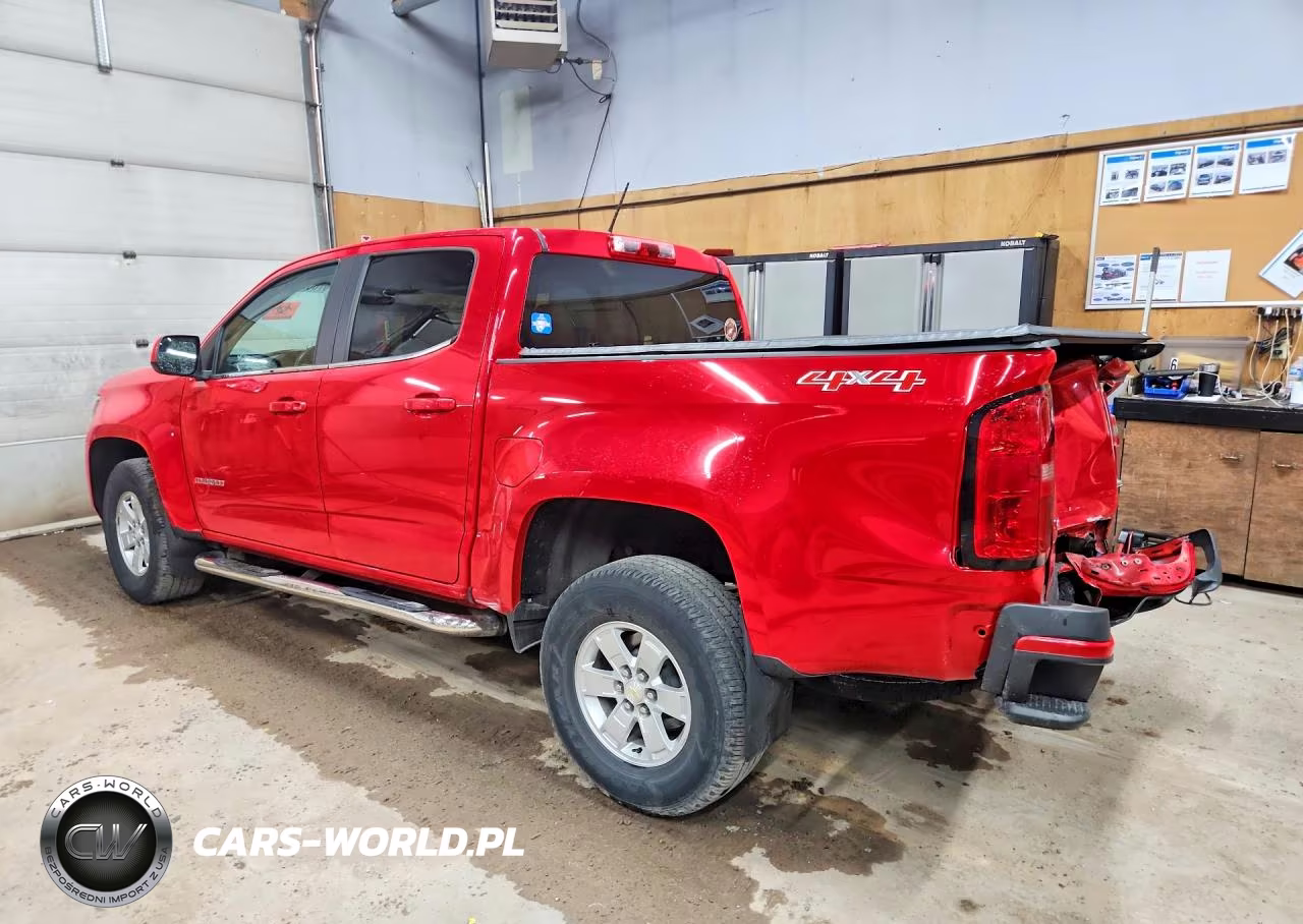 2019 Chevrolet Colorado VIN:1GCGTBEN1K1339191 - 2