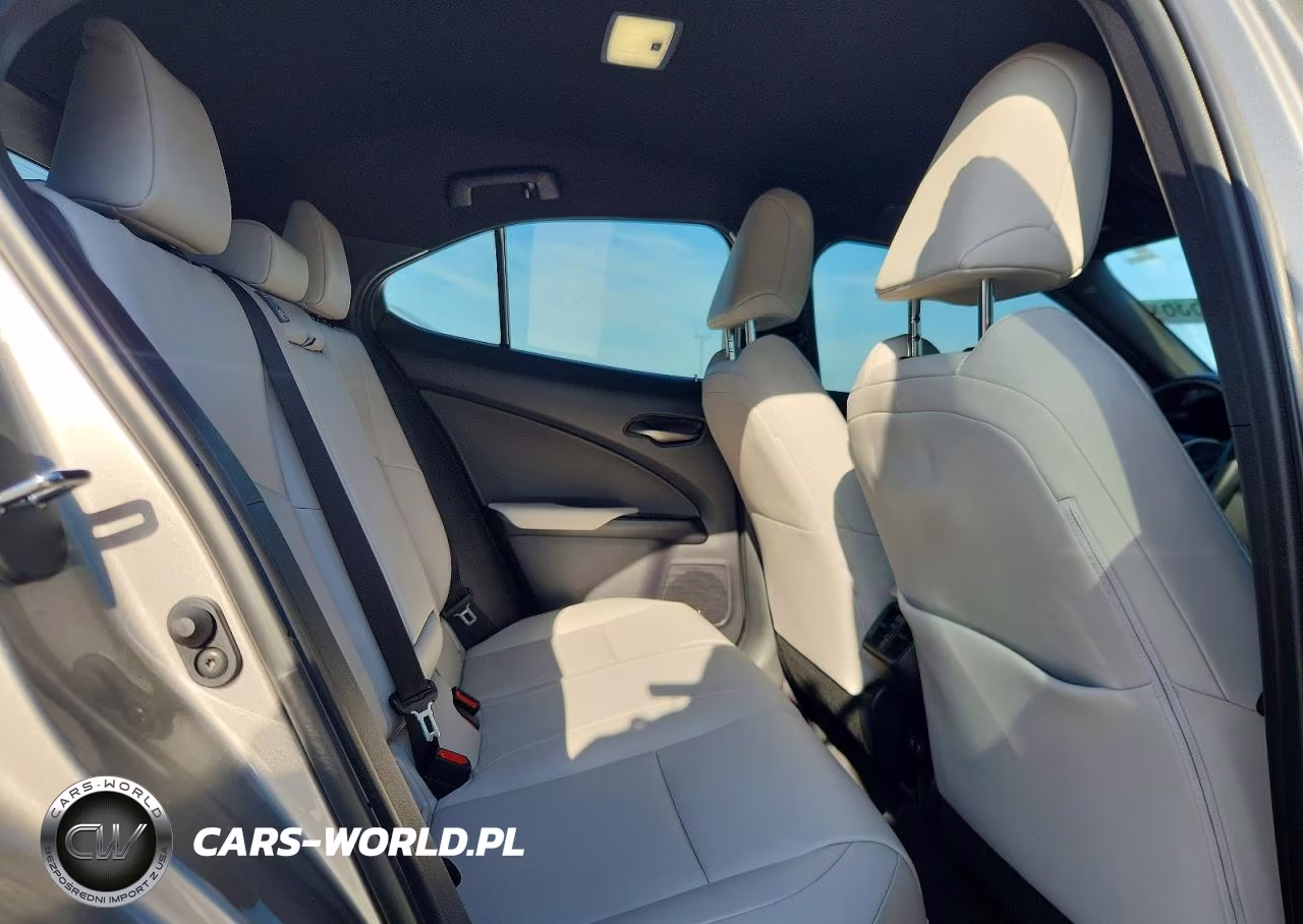 2020 Lexus Ux 200 VIN:JTHX3JBH0L2023459 - 11
