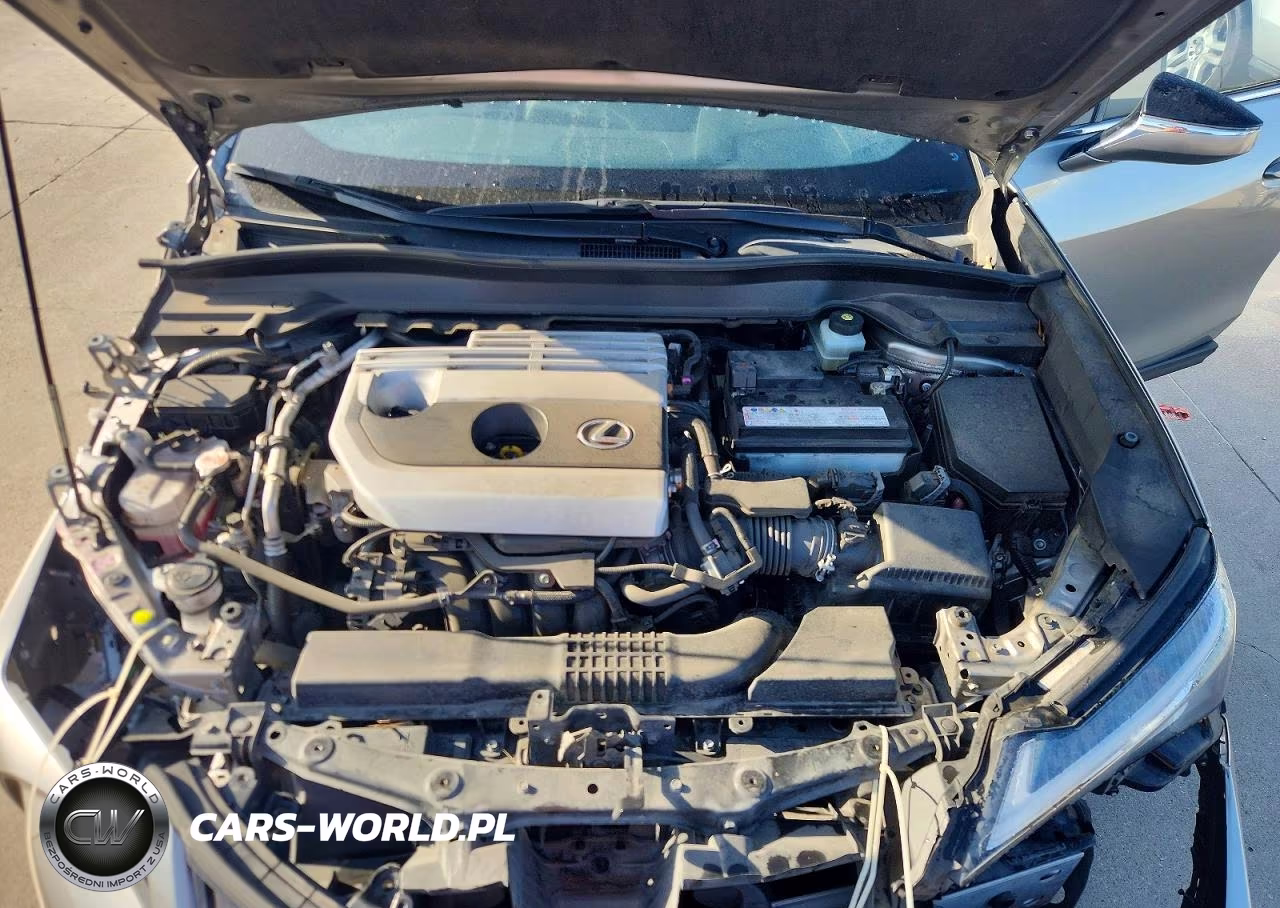 2020 Lexus Ux 200 VIN:JTHX3JBH0L2023459 - 12