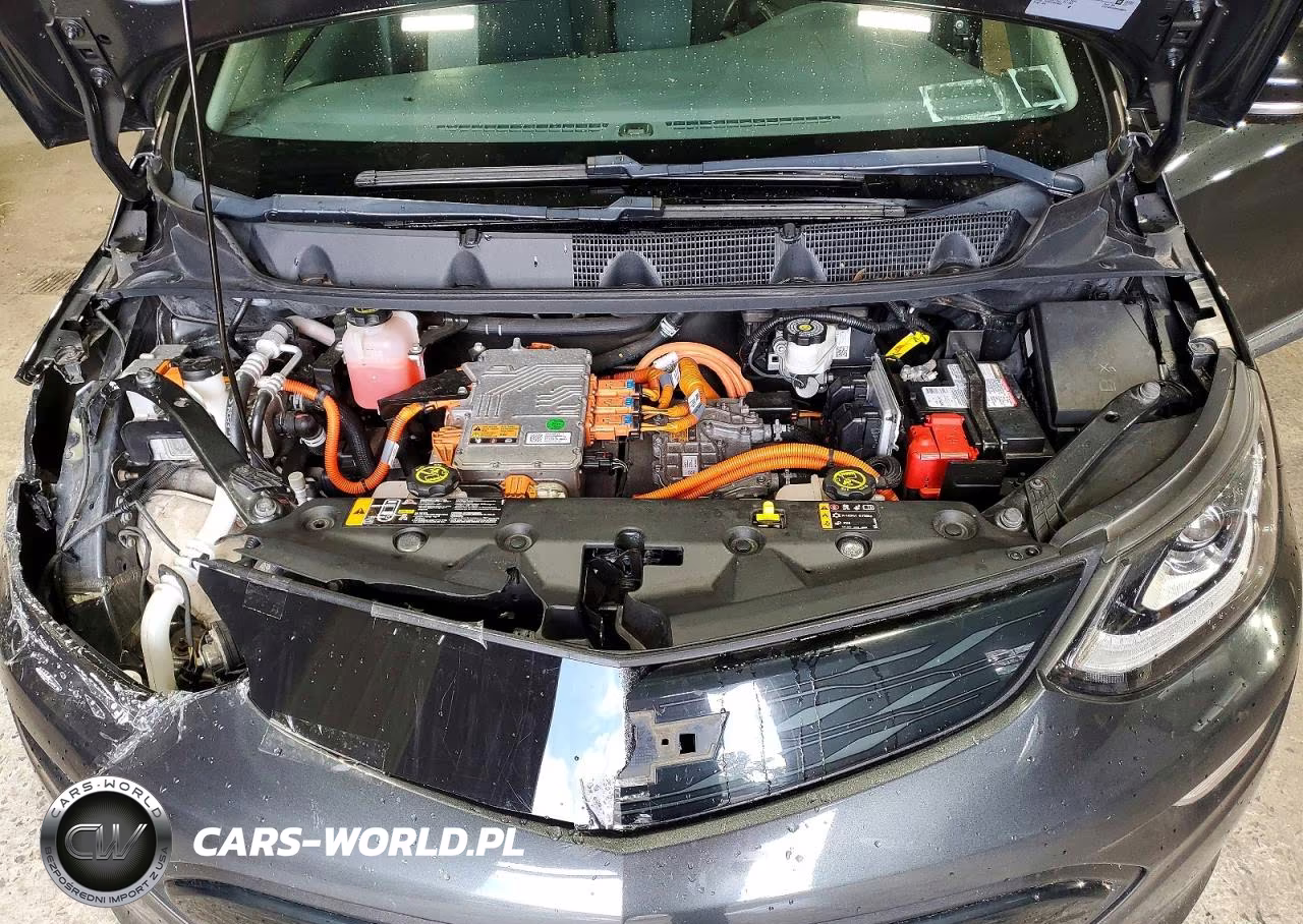 2017 Chevrolet Bolt Ev Lt VIN:1G1FW6S08H4180625 - 11