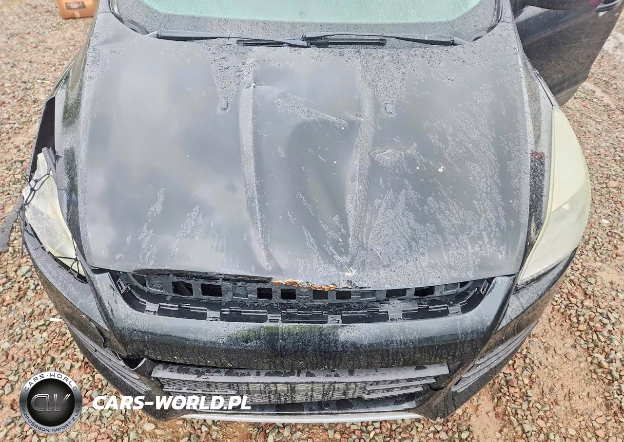 2014 Ford Escape Se VIN:1FMCU0GX9EUA94413 - 12