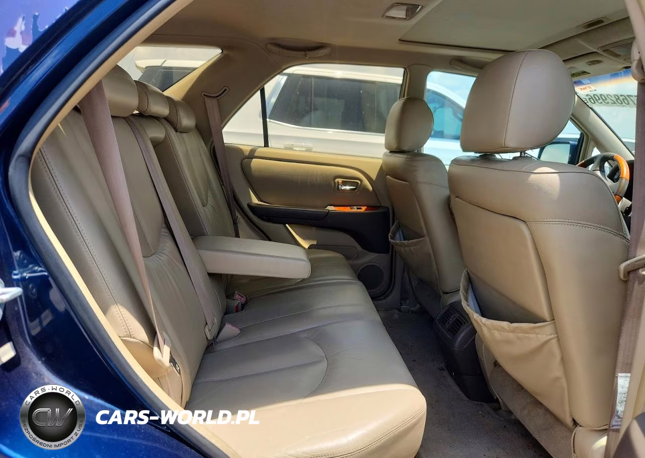2001 Lexus Rx 300 VIN:JTJGF10U810084119 - 11