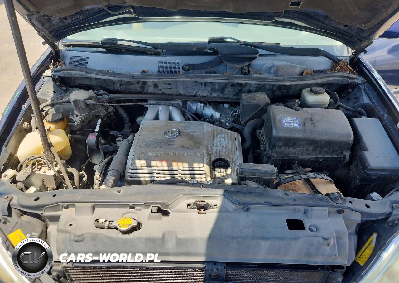 2001 Lexus Rx 300 VIN:JTJGF10U810084119 - 12