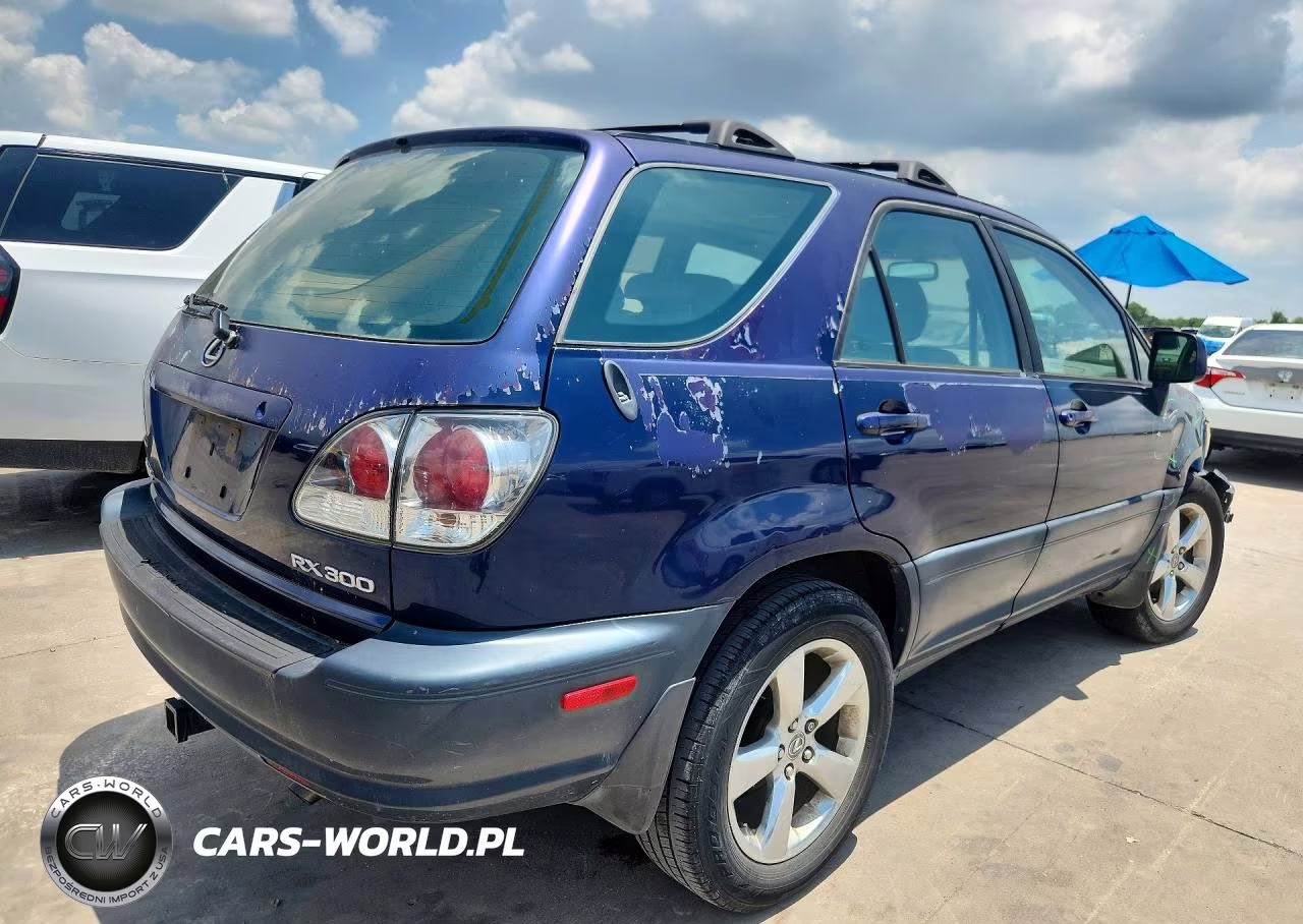 2001 Lexus Rx 300 VIN:JTJGF10U810084119 - 3