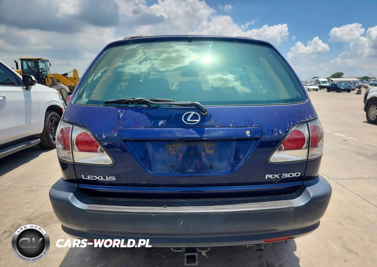 2001 Lexus Rx 300 VIN:JTJGF10U810084119 - 6