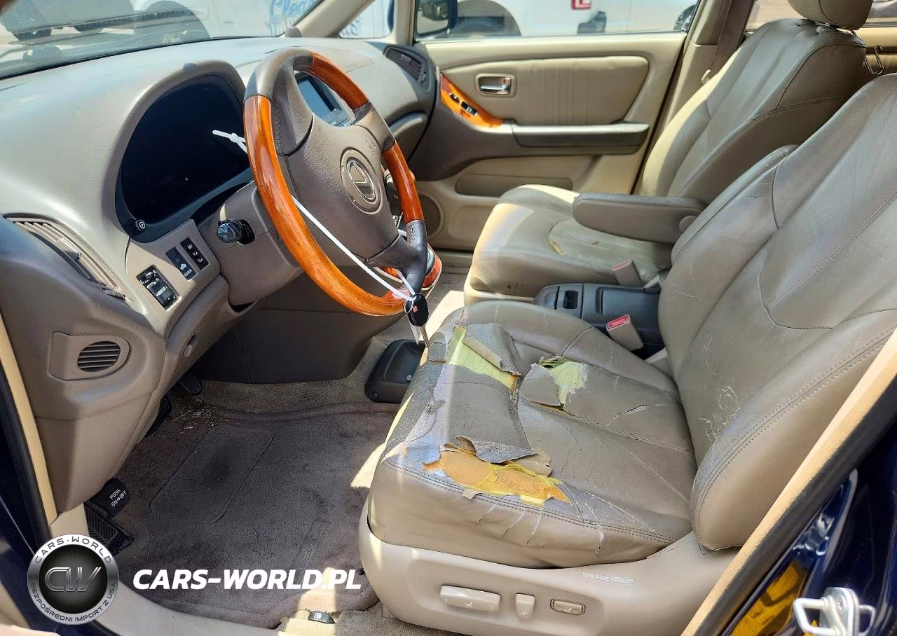 2001 Lexus Rx 300 VIN:JTJGF10U810084119 - 7